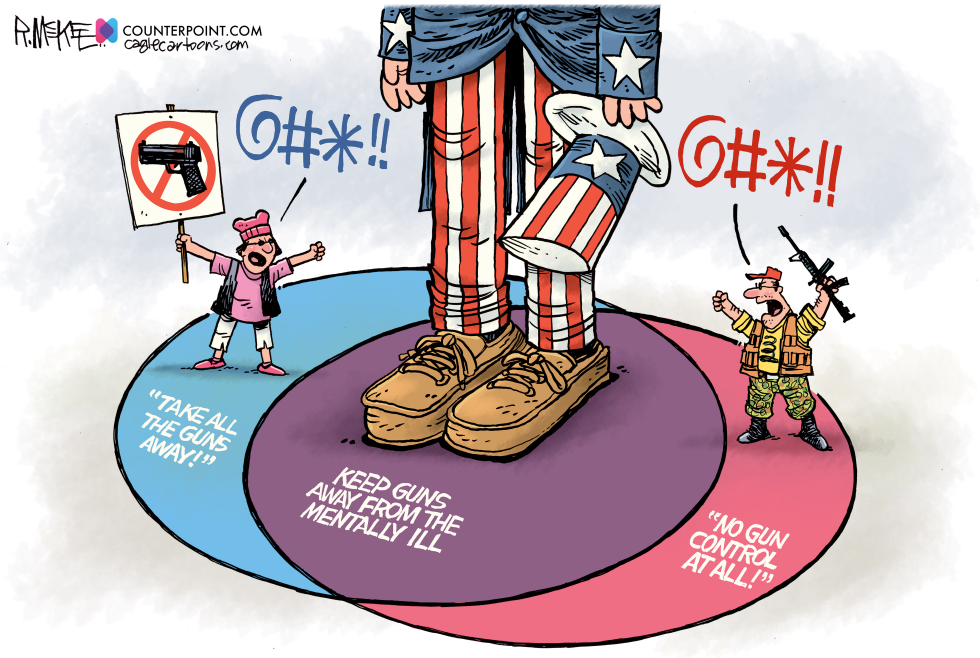Gun Control Middle