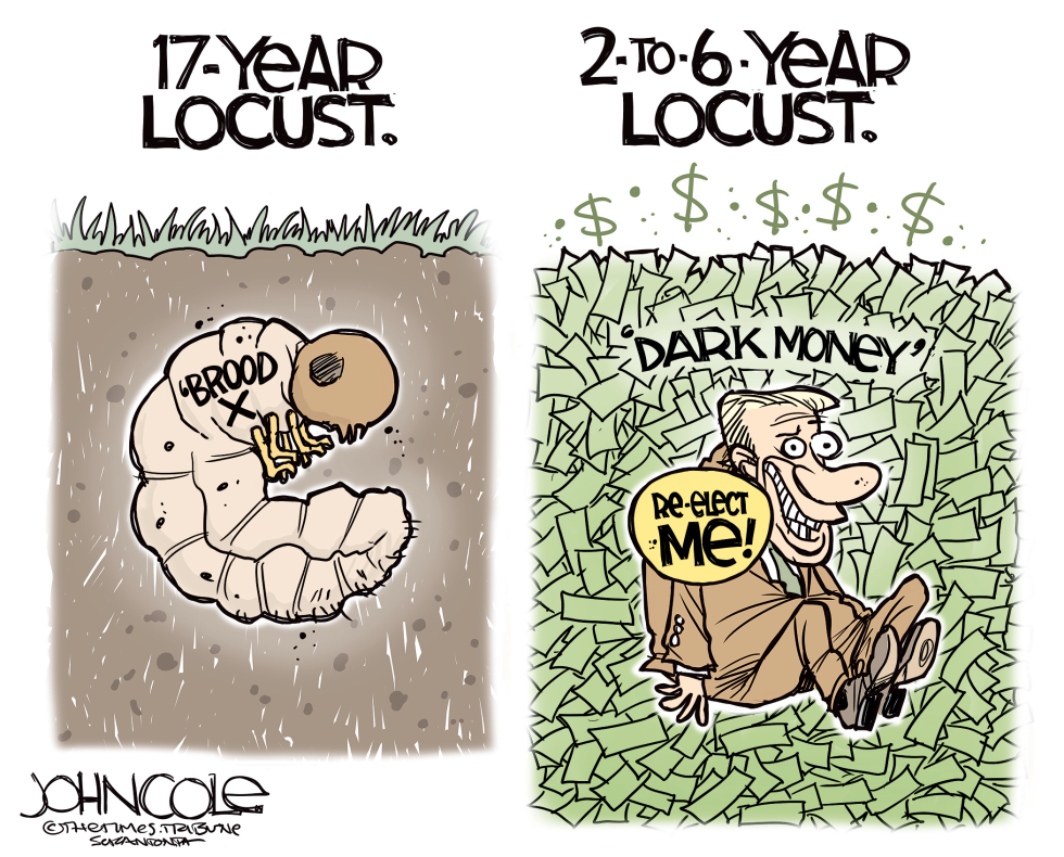 Locust types