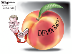 GEORGIA PEACH by Bill Day
