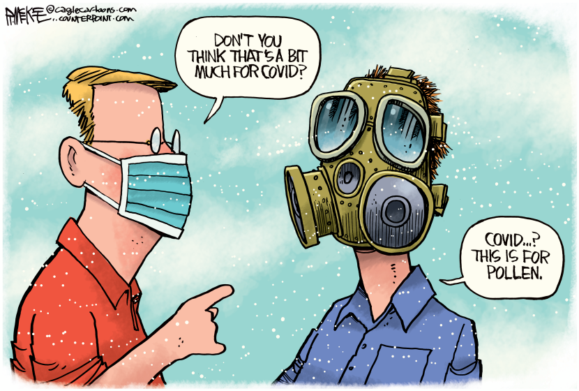 Covid Pollen Mask