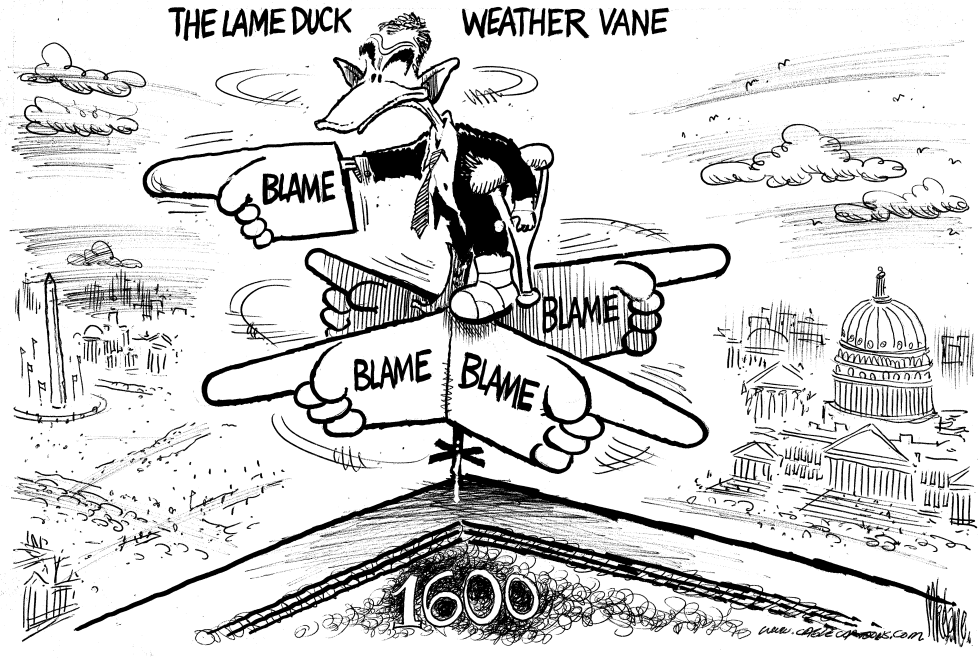  THE LAME DUCK WEATHER VANE by Mike Lane