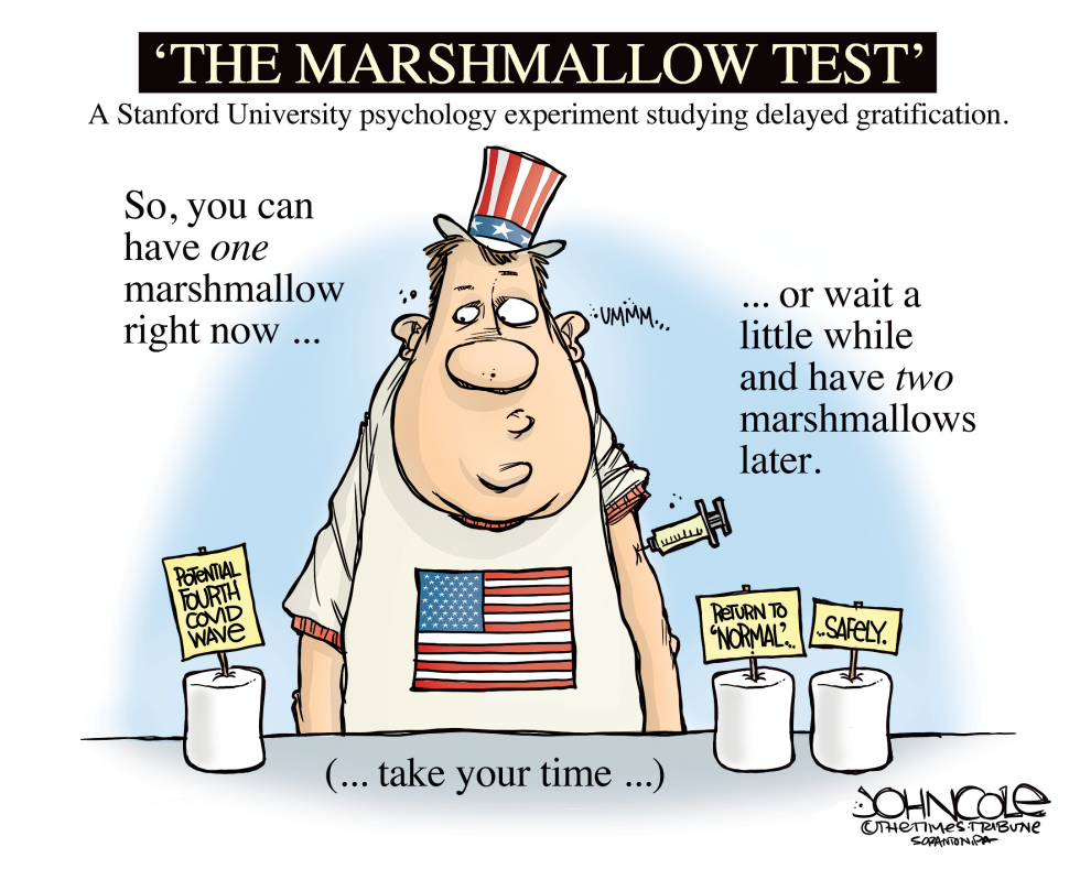 The marshmallow test