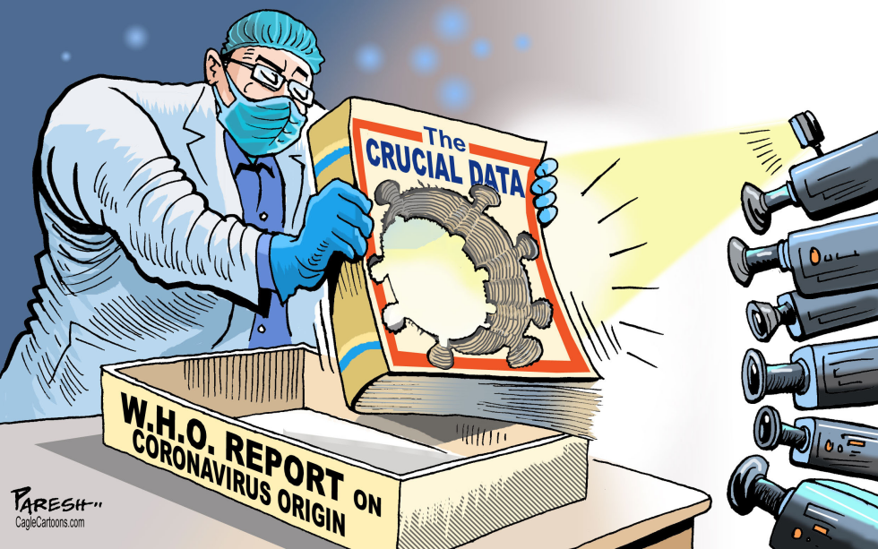 WHO report on covid origin