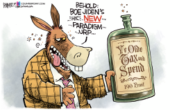 BIDEN'S NEW PARADIGM by Rick McKee