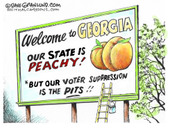 GEORGIA PEACHES AND PITS by Dave Granlund