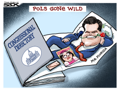MR. FLORIDA by Steve Sack