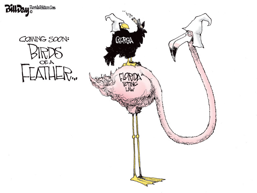 Birds of a Feather