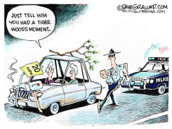 TIGER WOODS CRASH NO CHARGES by Dave Granlund
