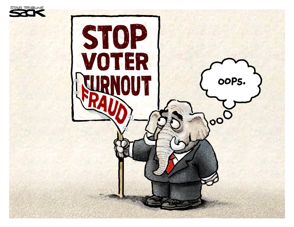 Voter Fraud Fraud