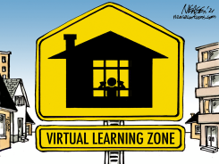 VIRTUAL ZONE by Steve Nease