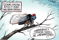STILL IN AFGHANISTAN by Joe Heller