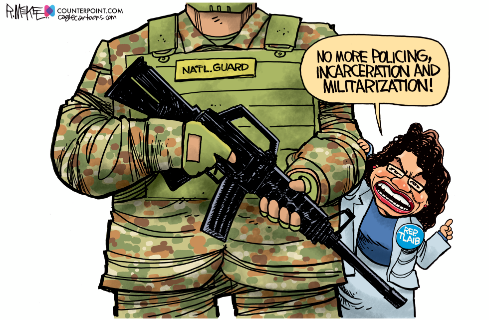 Tlaib No More Policing