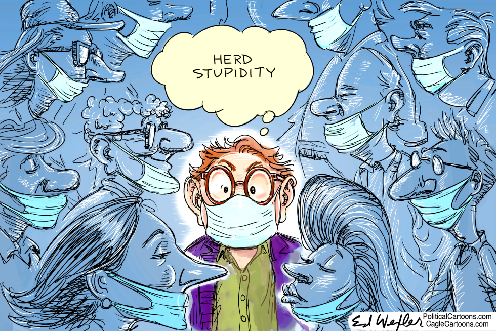 Herd Stupidity