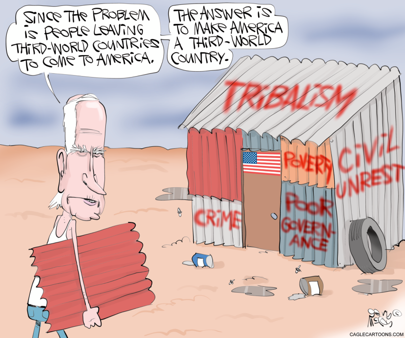 Biden Promotes Immigration