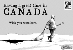 CANADIAN POSTCARD by Cam Cardow