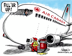 AC BAILOUT by Steve Nease