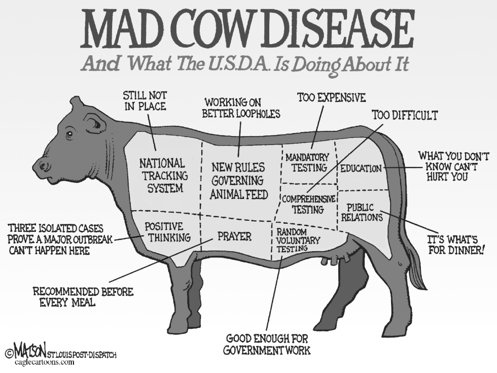U.S.D.A. Mad Cow Disease Chart-GRAYSCALE