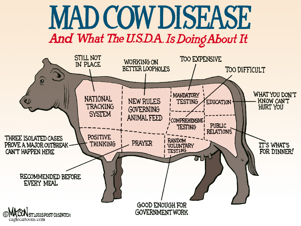 U.S.D.A. Mad Cow Disease Chart-COLOR