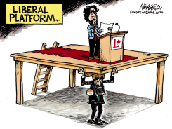 LIB PLATFORM by Steve Nease