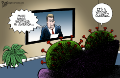 MORE MASS SHOOTINGS by Bruce Plante