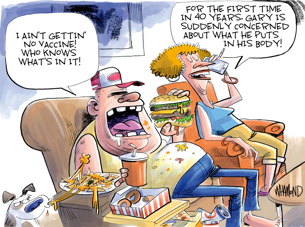 The Big Vaccine Theory
