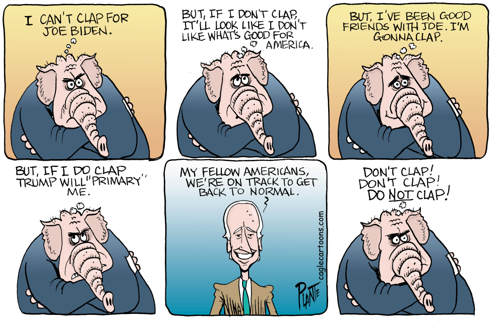 Joe Biden addresses congress