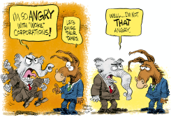 WOKE CORPORATIONS by Daryl Cagle