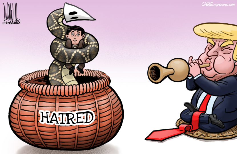 Pied Piper