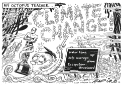 OCTOPUS TEACHER by Zapiro