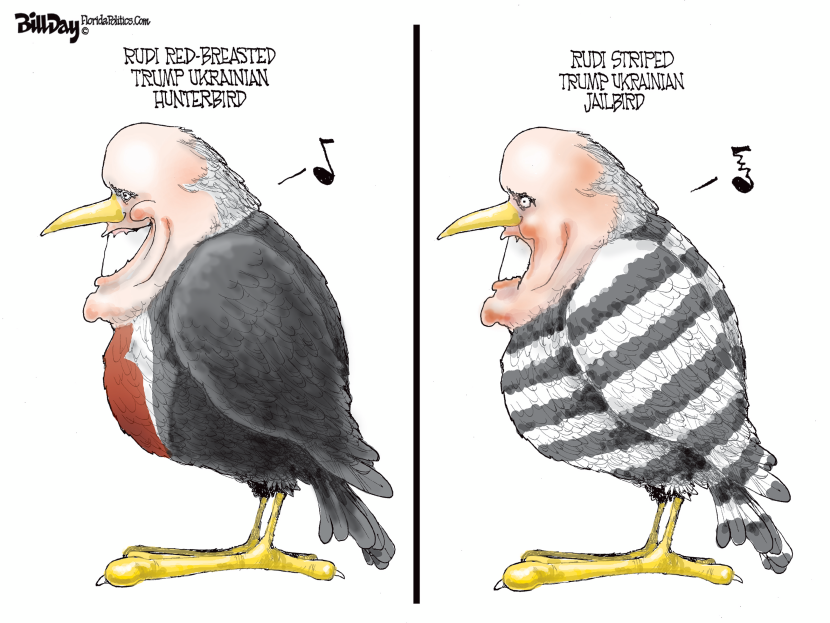 Rudi Bird