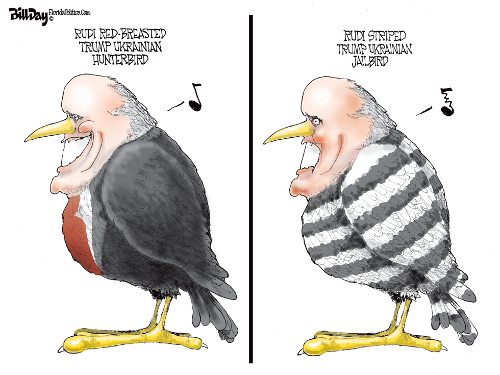 Rudi Bird
