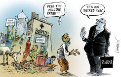 INDIA IN COVID'S GRIP by Patrick Chappatte