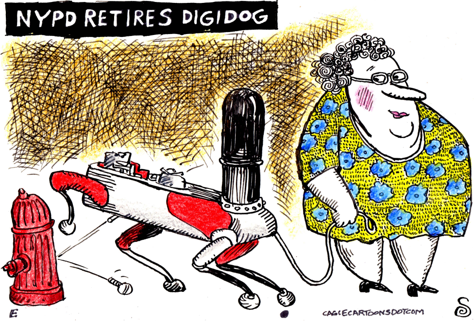 Robotic Dog