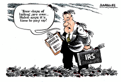 BROOD X CICADAS by Jimmy Margulies