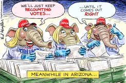 RECOUNT VOTES IN ARIZONA CHEAT by Ed Wexler