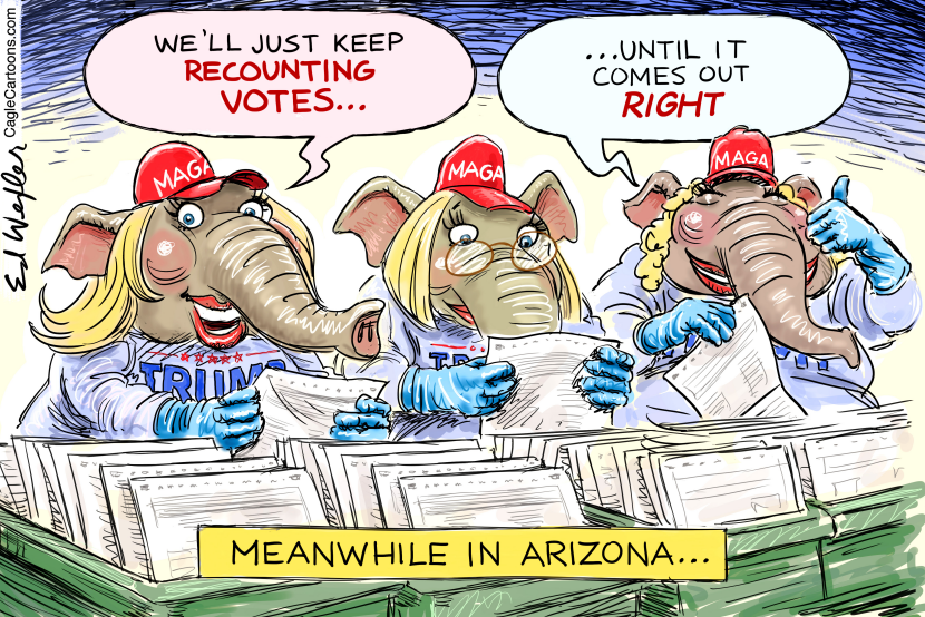 Recount Votes In Arizona Cheat