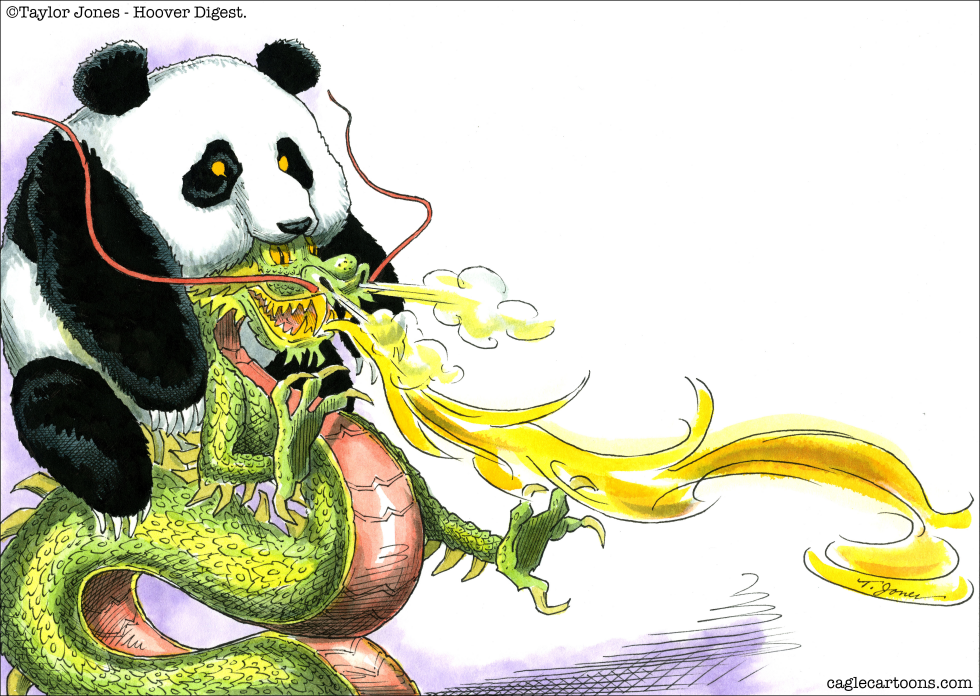 China - dragon in panda clothing