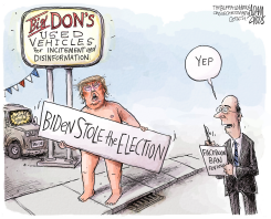 THE BIG LIE by Adam Zyglis