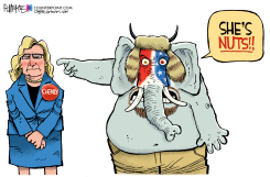 LIZ CHENEY IS NUTS by Rick McKee