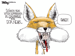 FOX NEWS OWNED by Bill Day