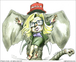 LIZ CHENEY by Taylor Jones