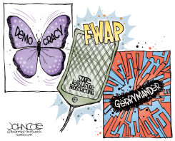 DEMOCRACY AND GERRYMANDERING by John Cole