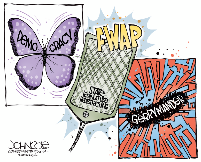 Democracy and gerrymandering