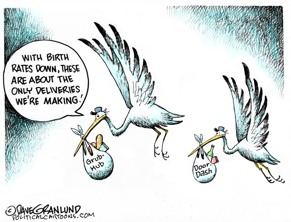 Birth rates down