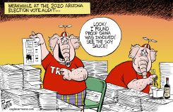 ARIZONA RE-RE-RECOUNT by Bruce Plante