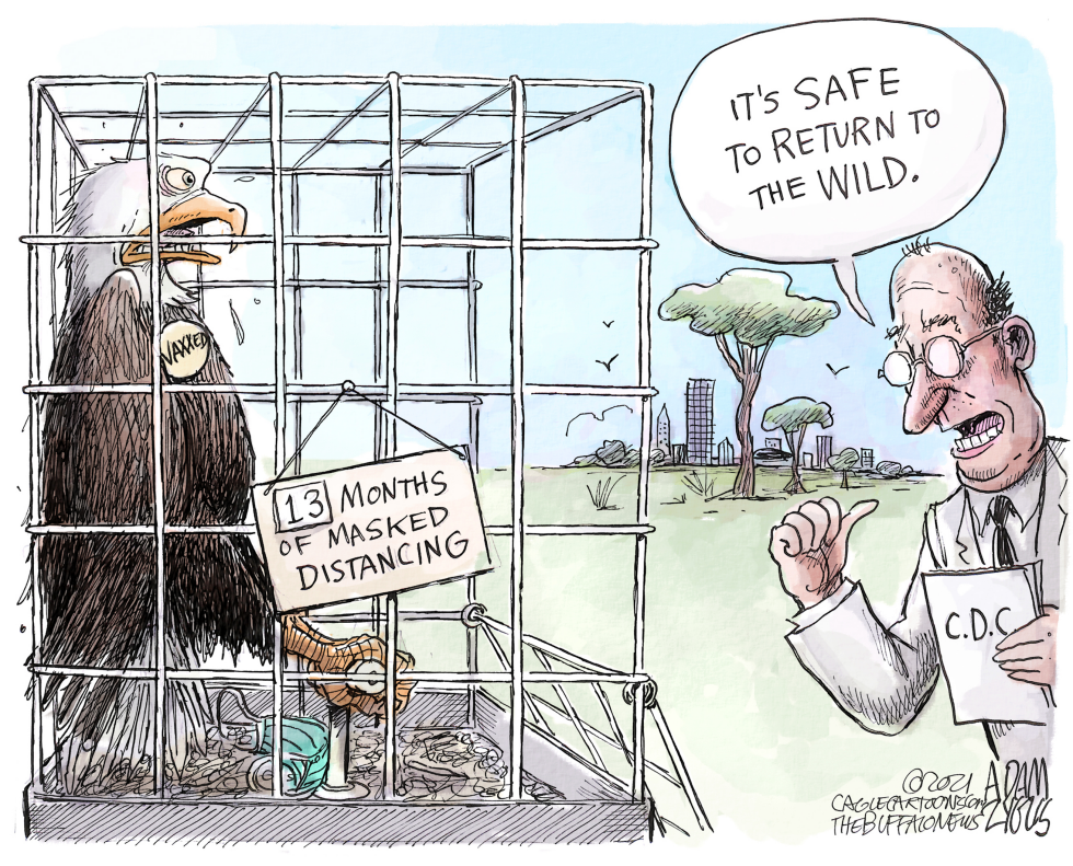 New CDC guidelines