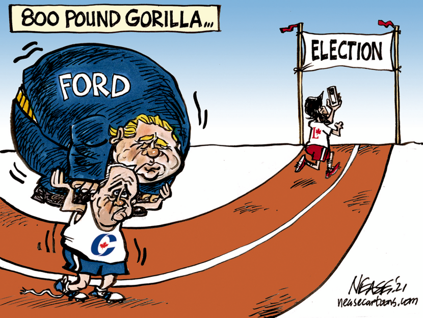 Election Weight