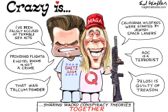 CRAZY IS MTGREENE AND MATT GAETZ by Ed Wexler