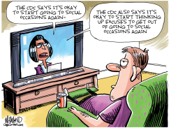 THE CDC MASKING ADVICE by Dave Whamond