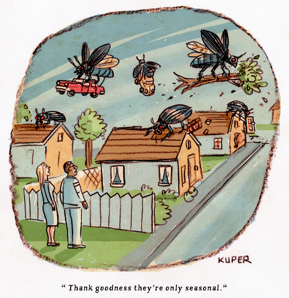 Seasonal Insects